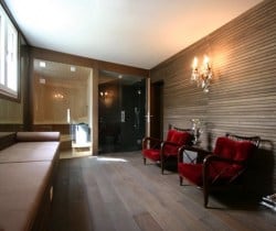 Chalet Apartment Silketh: Spa area