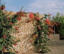 Villa Rayan: Entrance