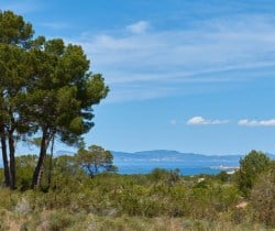 Villa-Savanna-Exterior-view