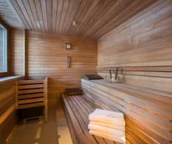 Chalet-Apartment-Enzian-Sauna