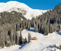 Chalet-Apartment-Lavendel-Exterior