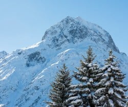 Chalet-Apartment-Mimose-Exterior-view