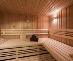 Chalet-Elsie-Sauna